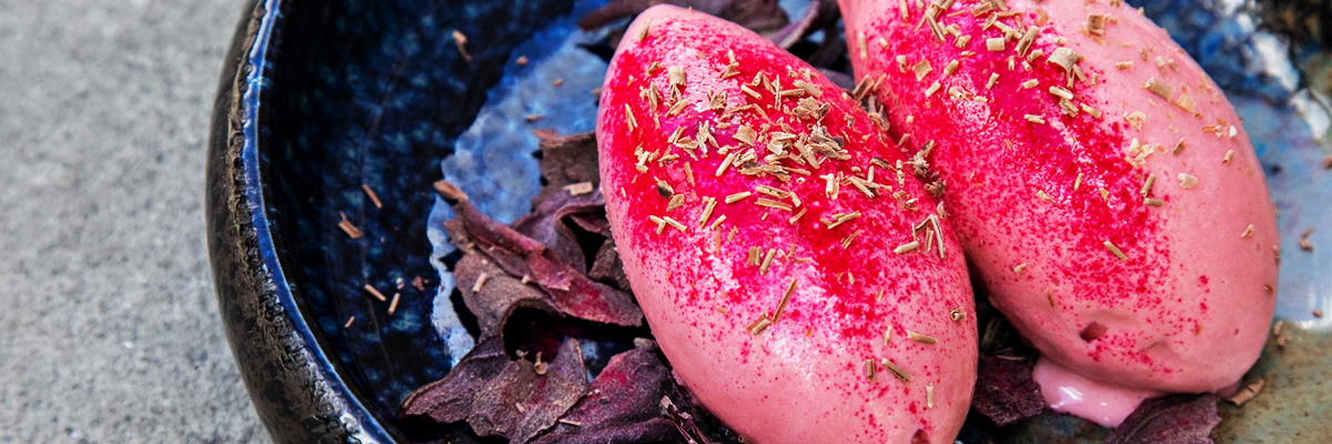 The Well Food Beet Root Icecream