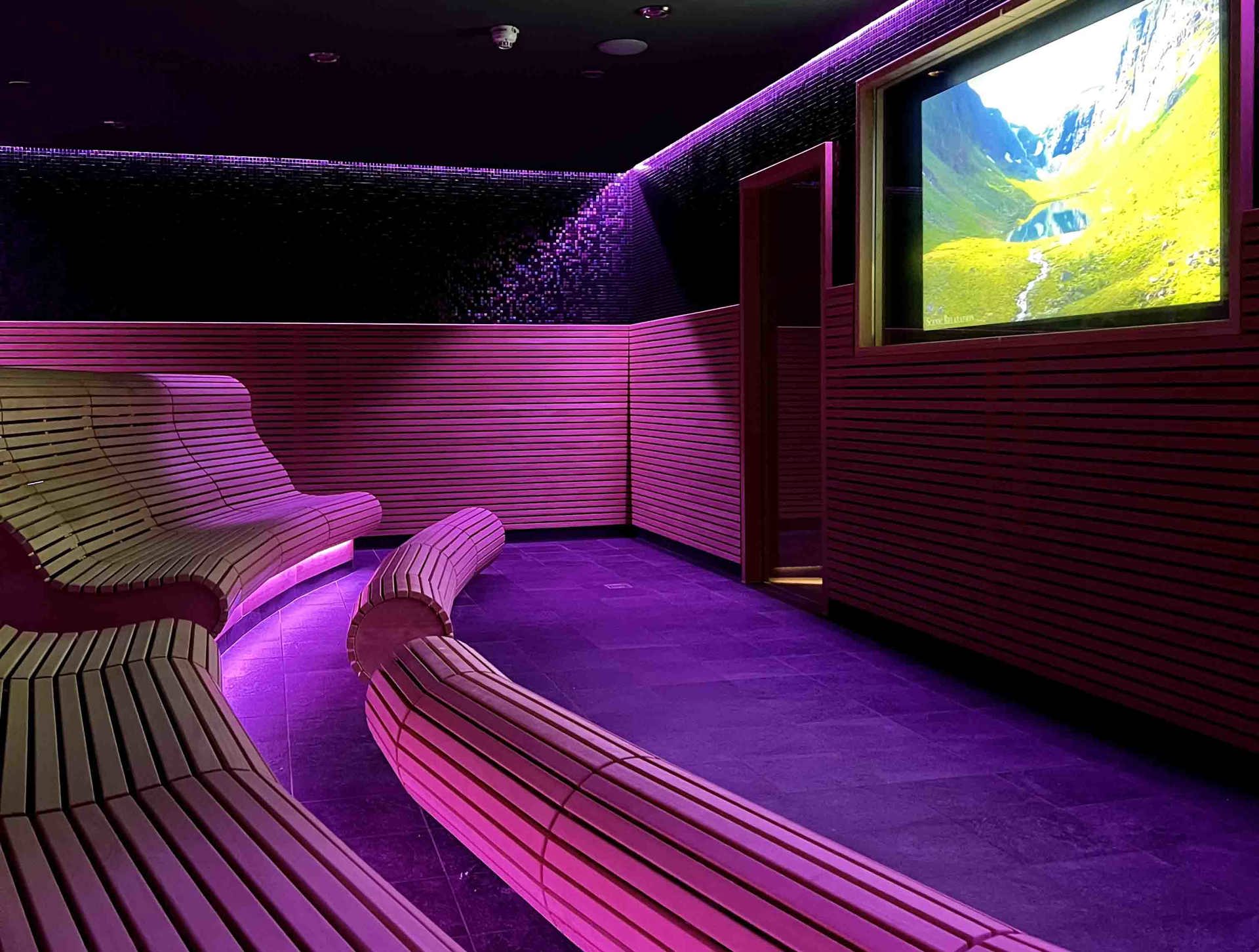 TV-sauna.jpg
